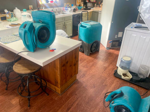 Best Mold removal after water damage  in Fountain Hill, PA