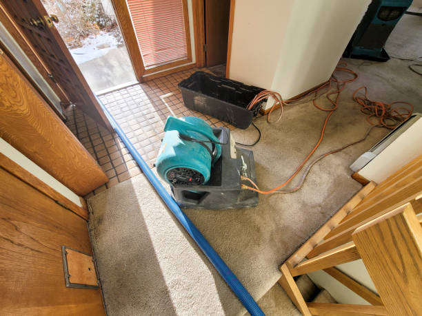Water damage restoration mold remediation in Fountain Hill, PA