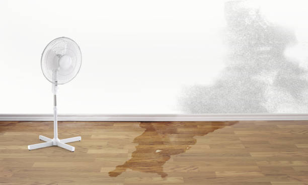  Fountain Hill, PA Water damage restoration Pros