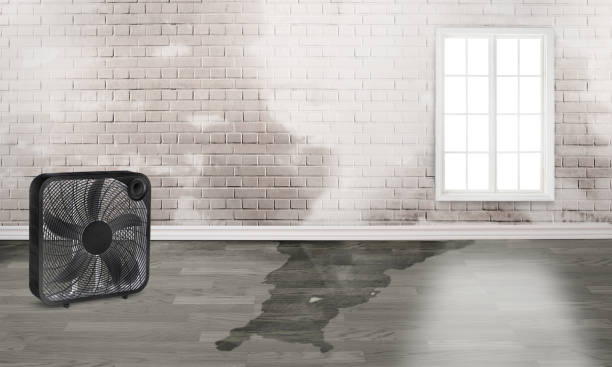 Best Water damage contractors near me  in Fountain Hill, PA