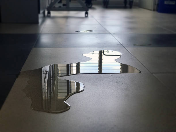 Best Water damage restoration near me  in Fountain Hill, PA