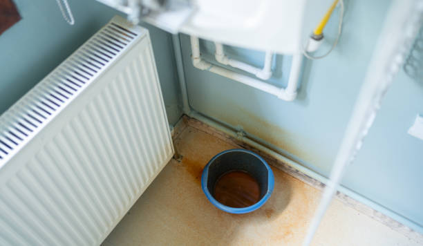Best Ceiling water damage repair  in Fountain Hill, PA