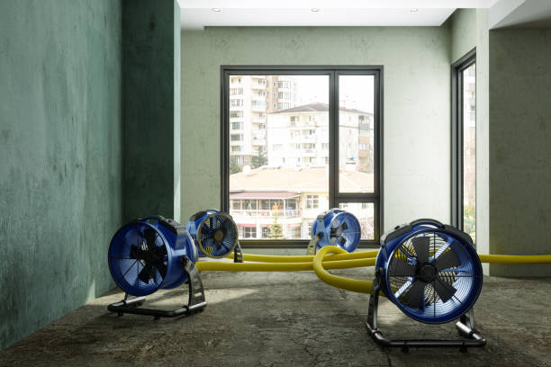 Best Water damage restoration process  in Fountain Hill, PA